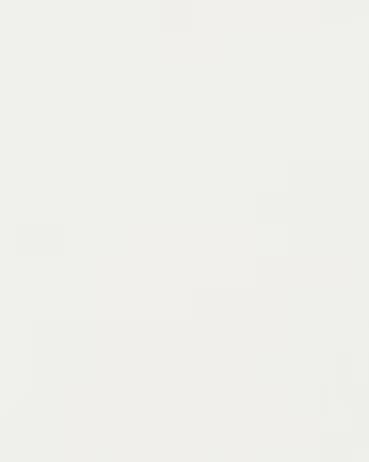 BC4011 - Arctic White